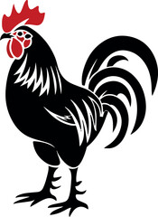 rooster isolated on white background