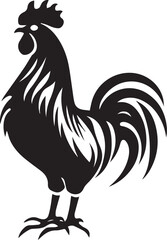 rooster isolated on white background