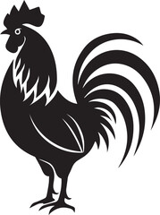 rooster isolated on white background