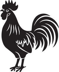 rooster isolated on white background