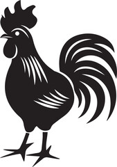 rooster isolated on white background