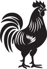 rooster isolated on white background