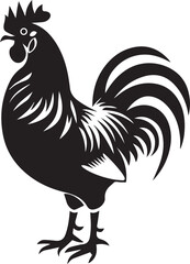 rooster isolated on white background