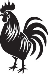 rooster isolated on white background