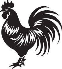 rooster isolated on white background