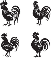 rooster isolated on white background