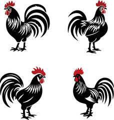 rooster isolated on white background © Graphicistock