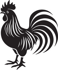 rooster isolated on white background