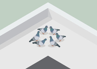 Pigeons Isometric Vector, illustration, 3d, art, design, bird, 