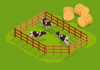 Cows fenced and hay, vector, isometric