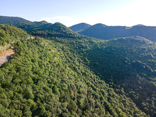 Balkan Mountains near Okolchitsa peak, Bulgaria