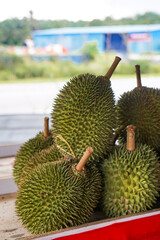 Durian on sale at a street stall