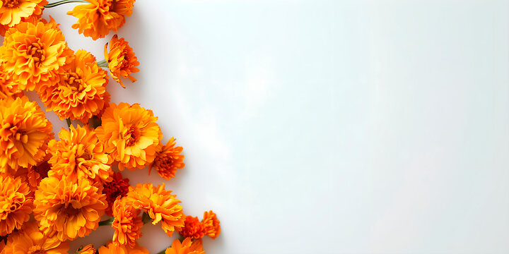 Flores de cempas&uacute;chil en una esquinna, fondo blanco. Para d&iacute;a de muertos en M&eacute;xico
