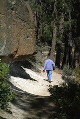 Woman hiker in blue jacket on forest trail,