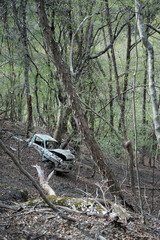 朽ち果てたトラック