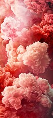 Abstract Pink and Red Swirls of Smoke