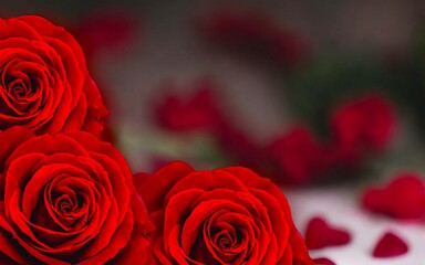 Rose flower frame banner background. Valentine's day, wedding, anniversary love theme, with red roses on black background. Negative copy space.