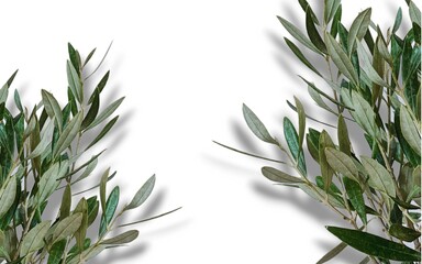 Green leaf plant on negative background frame.