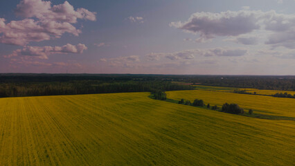 Landscape with yellow field and sky with clouds