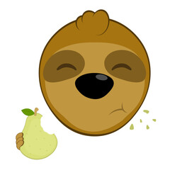 vector illustration face bear sloth character animal cartoon, eating pear fruit