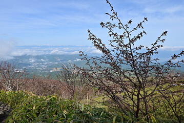 Climbing Mt. Azumaya, Nagano, Japan