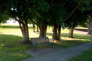 bench in the park
