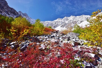 初雪を纏った秋の涸沢カール