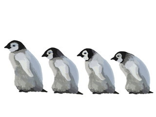 ペンギンのヒナ