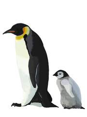 ペンギンの親子（2羽）