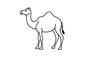 Camel line art vector silhouette 