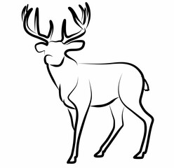 Deer vector, line drawing side view illustration isolated on white background