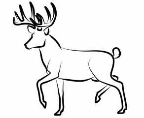 Deer vector, line drawing side view illustration isolated on white background