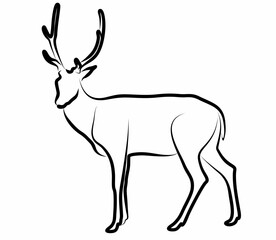 Deer vector, line drawing side view illustration isolated on white background
