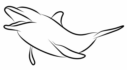 Obraz premium Dolphin vector, line drawing side view illustration isolated on white background