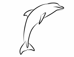 Obraz premium Dolphin vector, line drawing side view illustration isolated on white background