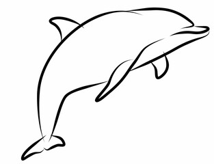Obraz premium Dolphin vector, line drawing side view illustration isolated on white background