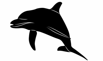 Fototapeta premium dolphin vector silhouette white background