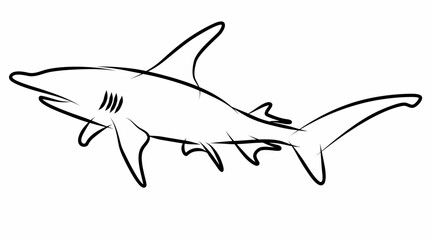 Shark vector, line drawing side view illustration isolated on white background