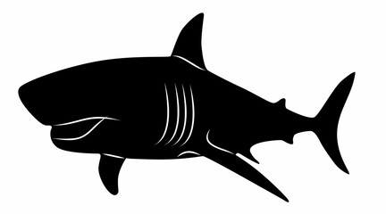 shark silhouette vector white background