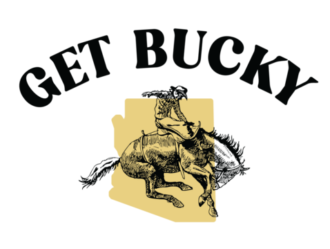 Get bucky in Arizona cowboy bucking horse