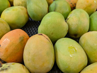 A close-up of a green mango showcases its smooth, unripe skin with subtle gradients of green, hinting at the sweetness within.