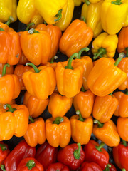 Red, orange, and yellow bell peppers on display for sale
