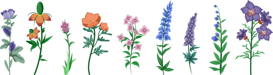 Wildflowers Collection Illustration Set