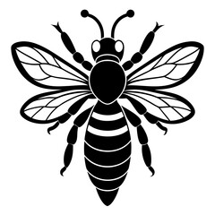 illustration of a bee