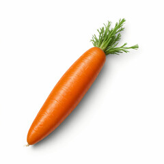 Fresh carrot on white background