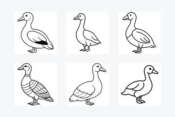 Egyptian Goose sits icon vector, Duck Editable Stroke Vector Line Icon, Goose Editable Stroke Vector Line Icon, 