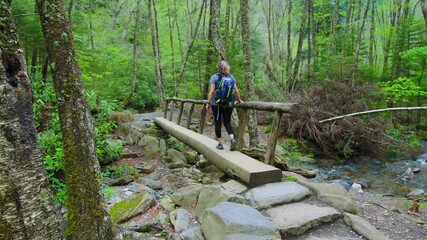 Female Crossing Wooden Bridge Over Alum Cave Creek on The Alum Cave Trail, Great Smoky Mountains National Park, Tennessee, USA
