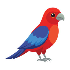 Illustration of Crimson Rosella Isolated