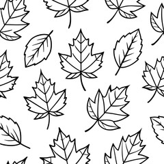 Fototapeta premium Fall foliage arranged in a smooth design