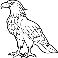 Golden Eagle full body vector illustrator, Hawk black icon, Hawk silhouette.